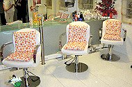 The Beauty Salon