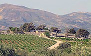 Farm