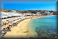 Platys Gialos beach on Myconos; click to enlarge