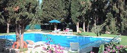 The pool