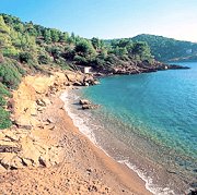 The beach below the cottage