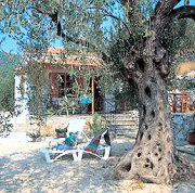 Neptune Cottage in Alonissos