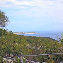 The view from the house