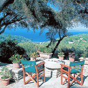 View from the house