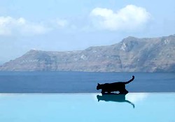 PERIVOLAS VILLAS SANTORINI VIEW