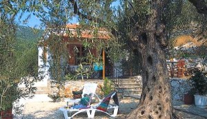 The Neptune Cottage in Alonnisos