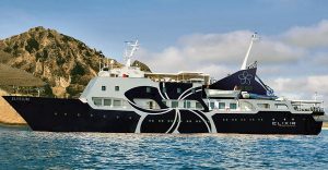 The 'Elysium' yacht of Elixir Cruises