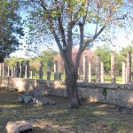 Ancient Olympia