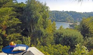 The view form the pool terrace