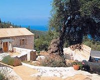 Olive Grove Villa